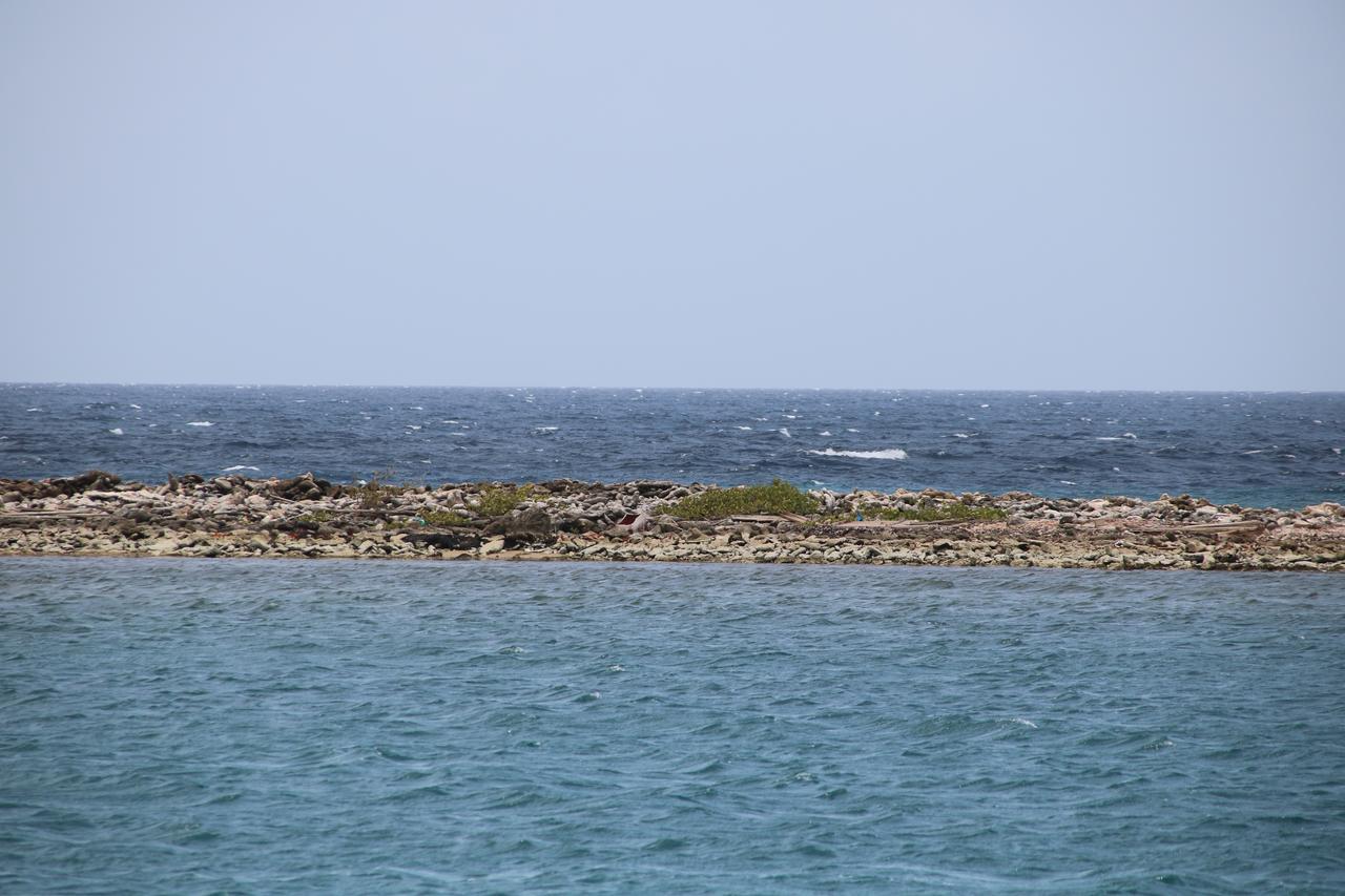 Coral Reef Beach Savaneta Екстер'єр фото