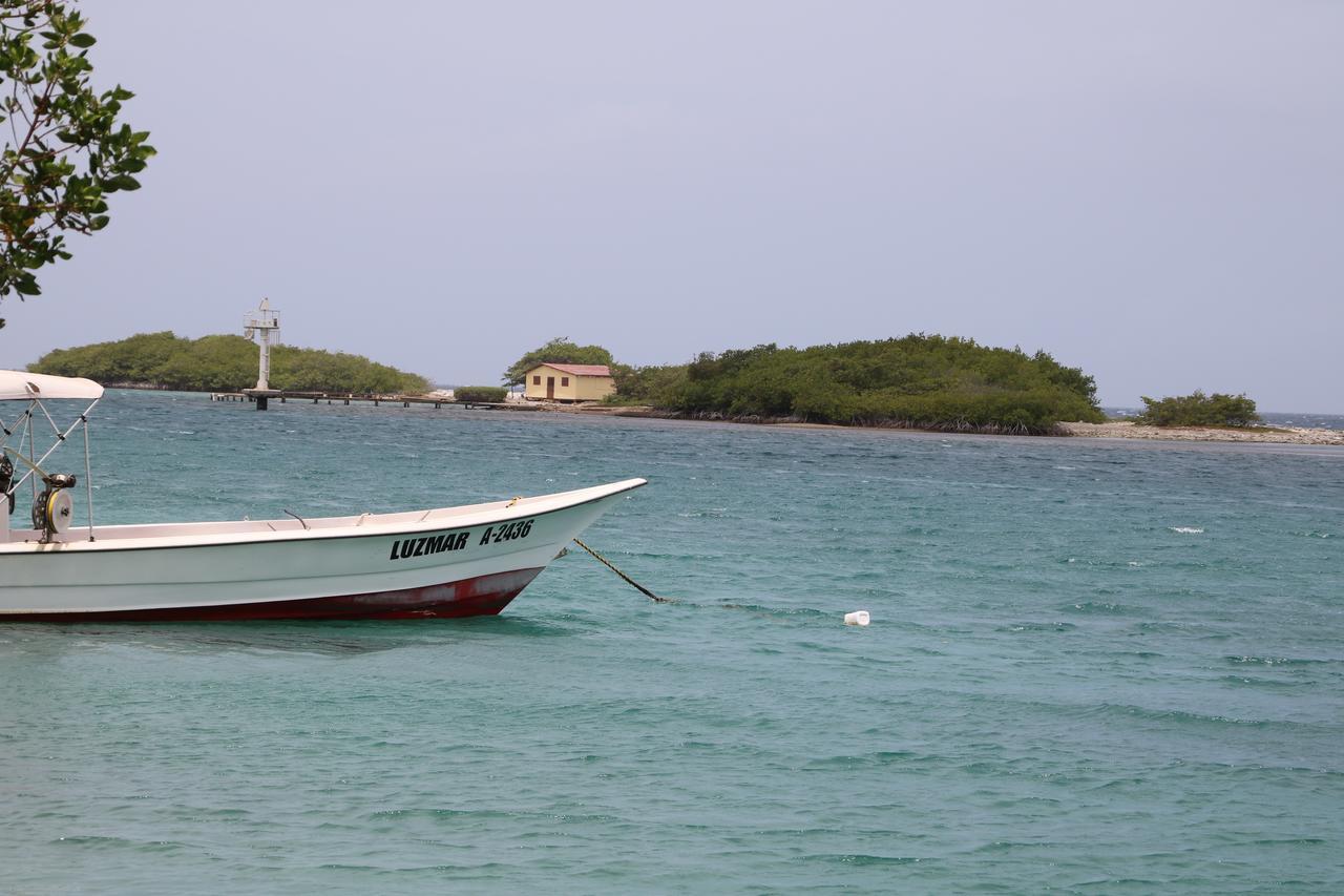 Coral Reef Beach Savaneta Екстер'єр фото